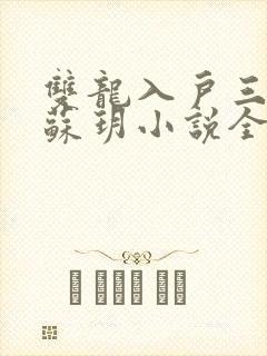 双龙入户三人行苏玥小说全文阅读