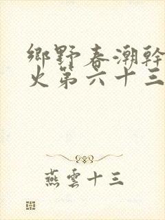 乡野春潮干柴烈火第六十三章封面