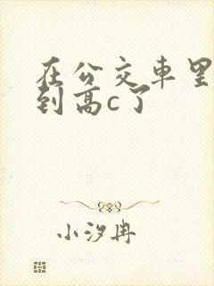 在公交车里c弄到高c了封面