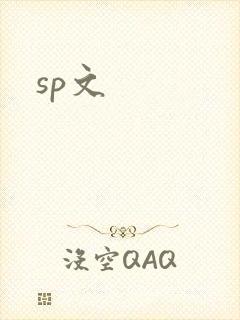 sp文封面