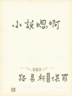 小说嗯啊