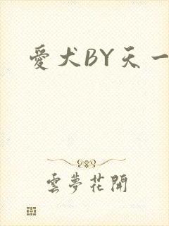 爱犬BY天一
