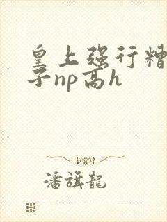 皇上强行糟蹋太子np高h