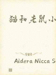 猫和老鼠小说
