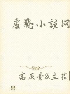 卢飞小说网