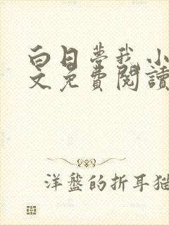 白日梦我小说全文免费阅读