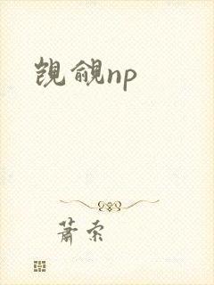 觊觎np