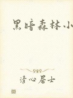 黑暗森林小说