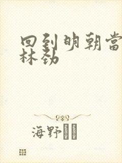 回到明朝当王爷林劲