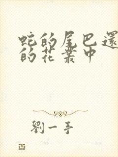 蛇的尾巴还在我的花丛中