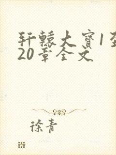 轩辕大宝1至720章全文封面