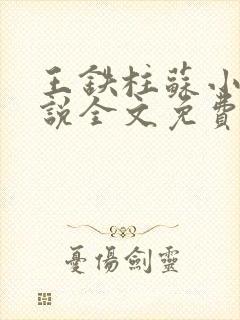 王铁柱苏小汐小说全文免费阅读最新章节封面