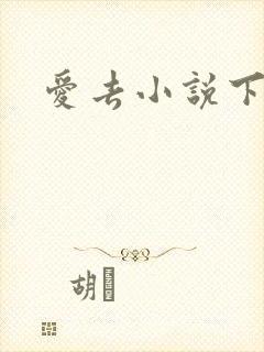 爱去小说下载网