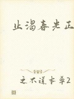 止渴春光正好封面