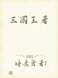 三国王者封面