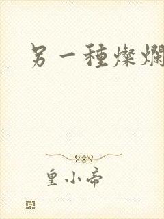 另一种灿烂生活