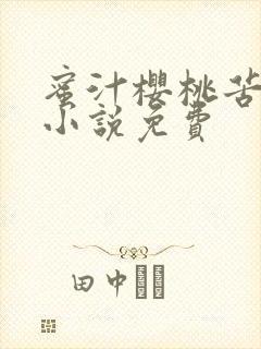 蜜汁樱桃苦咖啡小说免费