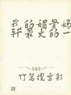 我的媚骨妈妈林轩最火的一句