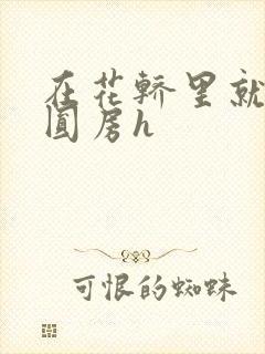 在花轿里就开始圆房h