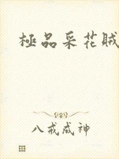 极品采花贼封面