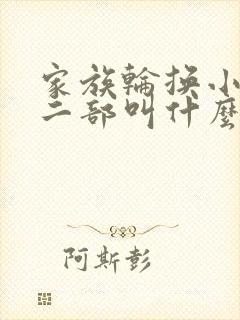 家族轮换小说第二部叫什么名字