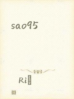 sao95封面