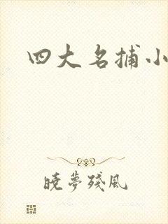 四大名捕小说封面