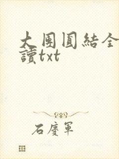 大团圆结全文阅读txt