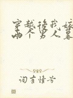 穿越后我嫁给了两个男人暮色酒歌