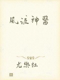 风流神医封面