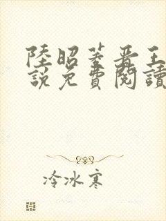 陆昭菱晋王的小说免费阅读封面