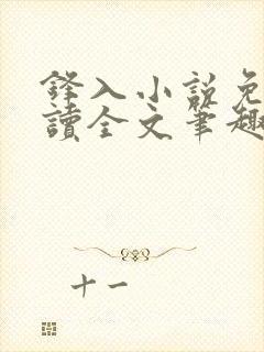 锋入小说免费阅读全文笔趣阁封面