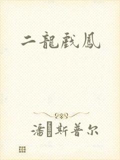 二龙戏凤