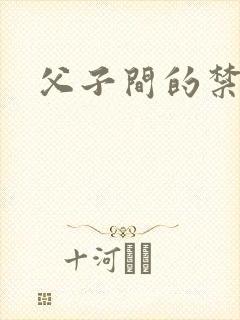 父子间的禁忌封面