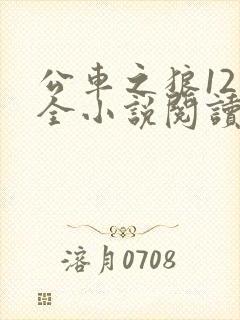 公车之狼12集全小说阅读