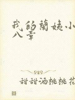 我的兰姨小说第八章封面