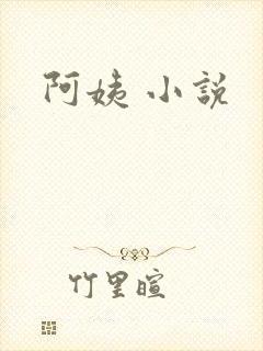 阿姨 小说