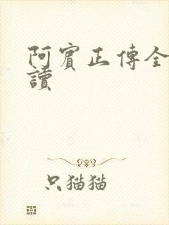 阿宾正传全文阅读