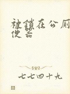 被锁在公厕当坐便器封面