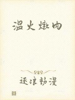 温火炖肉