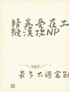 精英受在工地被糙汉攻NP