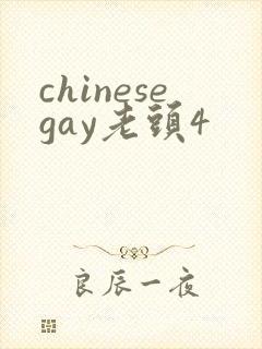 chinesegay老头4