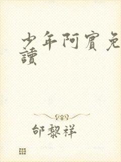 少年阿宾免费阅读