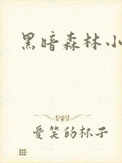 黑暗森林小说封面