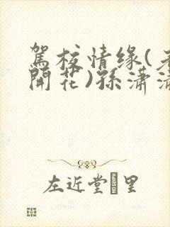 驾校情缘(老树开花)孙潇潇第一次趣笔阁