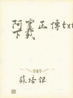 阿宾正传txt下载