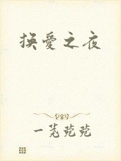 换爱之夜