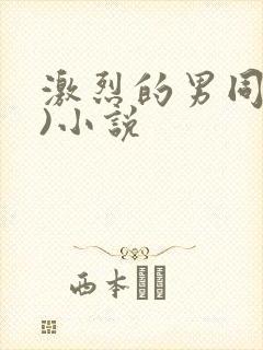 激烈的男同(h)小说封面