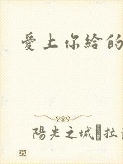 爱上你给的痛封面