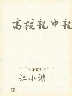 高校龙中龙